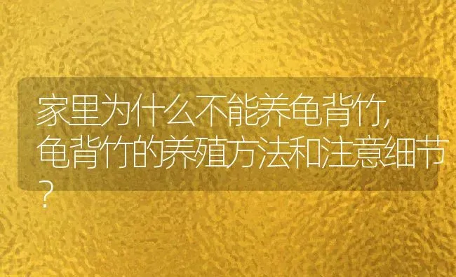 家里为什么不能养龟背竹,龟背竹的养殖方法和注意细节？ | 养殖常见问题