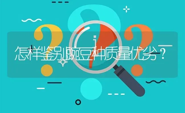 怎样鉴别豌豆种质量优劣? | 养殖问题解答