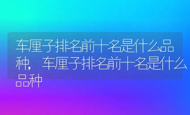 车厘子排名前十名是什么品种,车厘子排名前十名是什么品种 | 养殖常见问题