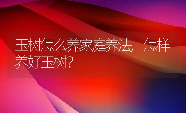 玉树怎么养家庭养法,怎样养好玉树？ | 养殖常见问题