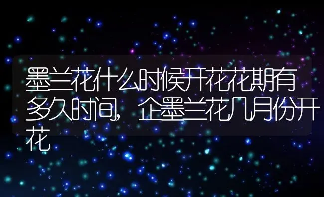墨兰花什么时候开花花期有多久时间,企墨兰花几月份开花 | 养殖常见问题