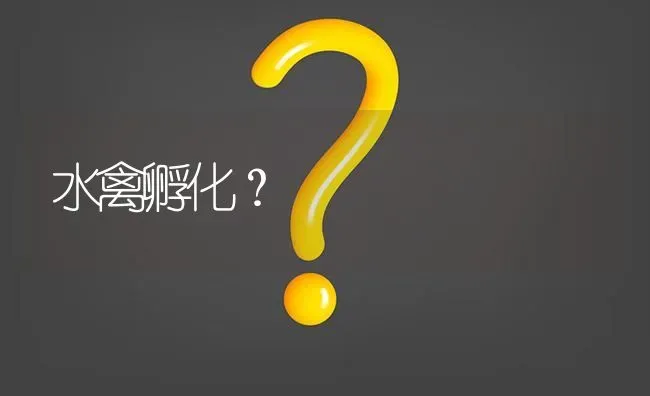 水禽孵化? | 养殖问题解答