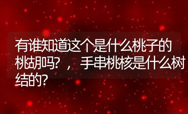 有谁知道这个是什么桃子的桃胡吗?,手串桃核是什么树结的？ | 养殖常见问题