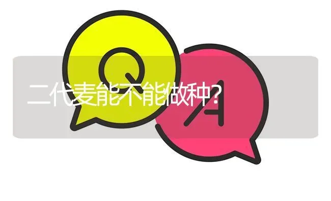 二代麦能不能做种? | 养殖问题解答