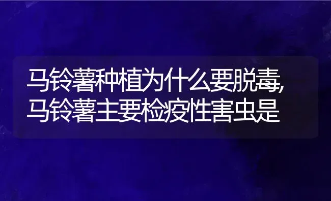 马铃薯种植为什么要脱毒,马铃薯主要检疫性害虫是 | 养殖常见问题