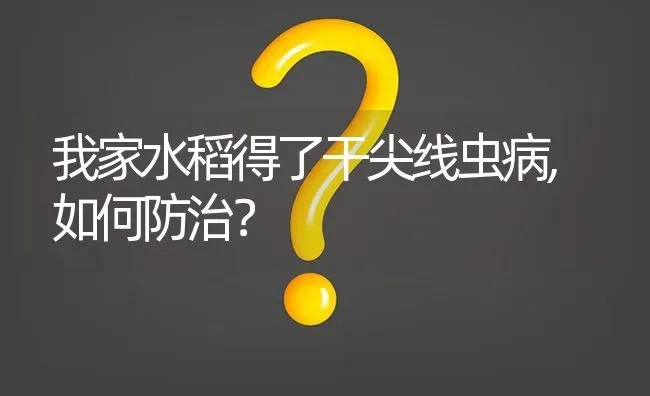 我家水稻得了干尖线虫病,如何防治? | 养殖问题解答