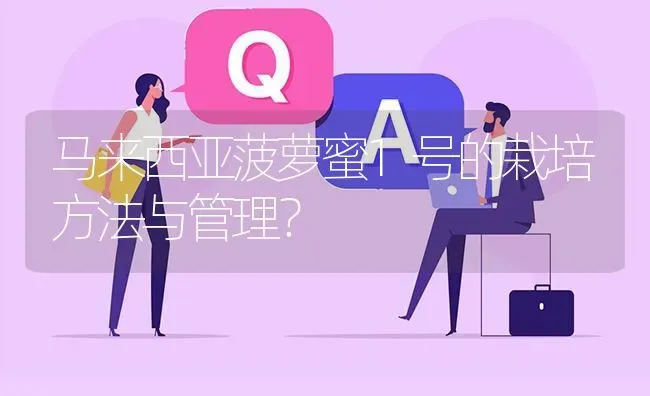 马来西亚菠萝蜜1号的栽培方法与管理? | 养殖问题解答