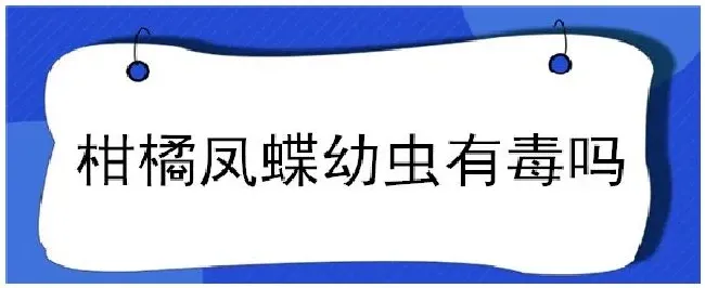 柑橘凤蝶幼虫有毒吗 | 农业常识