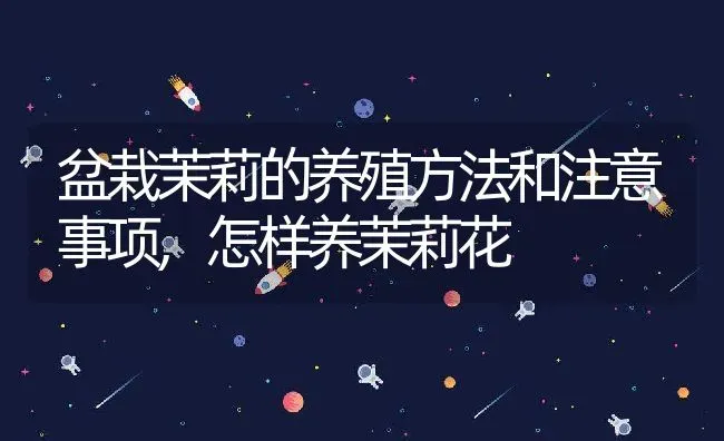 盆栽茉莉的养殖方法和注意事项,怎样养茉莉花 | 养殖常见问题