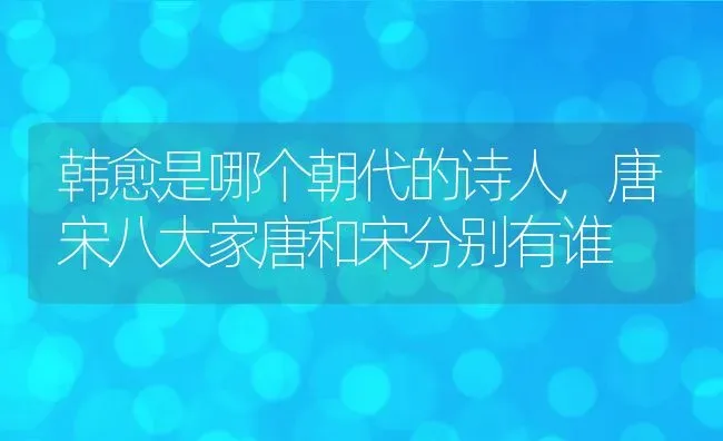 最好的高中学校排行榜,2021全国顶级百强中学排名 | 养殖常见问题