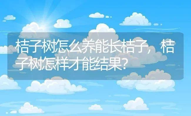 桔子树怎么养能长桔子,桔子树怎样才能结果？ | 养殖常见问题