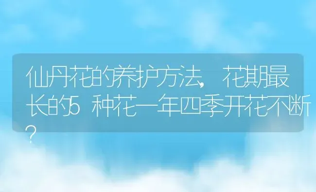 仙丹花的养护方法,花期最长的5种花一年四季开花不断？ | 养殖常见问题