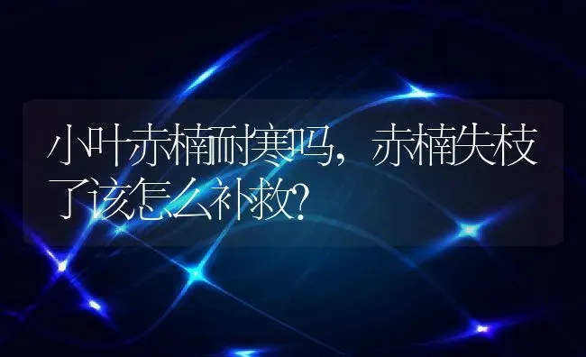 小叶赤楠耐寒吗,赤楠失枝了该怎么补救？ | 养殖常见问题