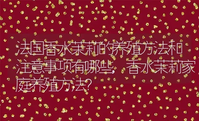 法国香水茉莉的养殖方法和注意事项有哪些,香水茉莉家庭养殖方法？ | 养殖常见问题