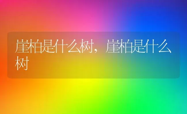 崖柏是什么树,崖柏是什么树 | 养殖常见问题