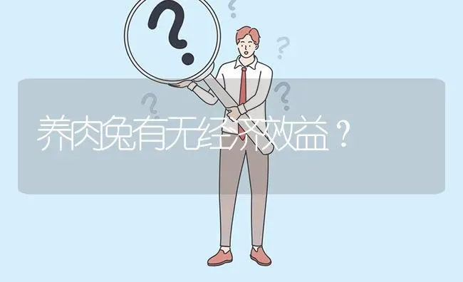 养肉兔有无经济效益? | 养殖问题解答