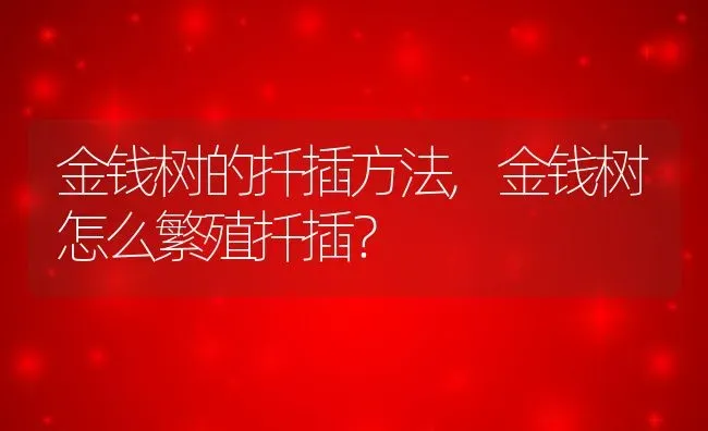 金钱树的扦插方法,金钱树怎么繁殖扦插？ | 养殖常见问题