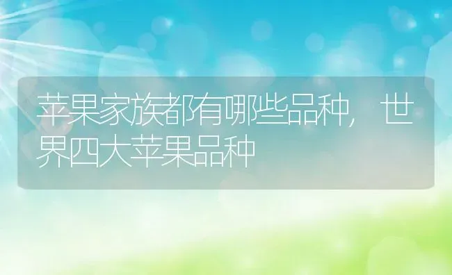 苹果家族都有哪些品种,世界四大苹果品种 | 养殖常见问题