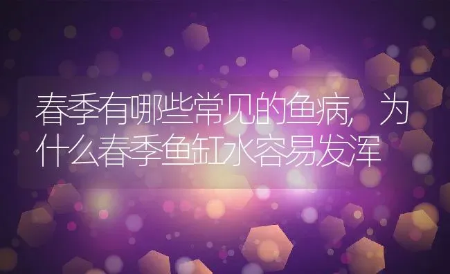 春季有哪些常见的鱼病,为什么春季鱼缸水容易发浑 | 养殖常见问题