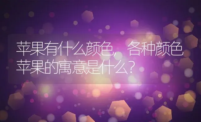 苹果有什么颜色,各种颜色苹果的寓意是什么？ | 养殖常见问题