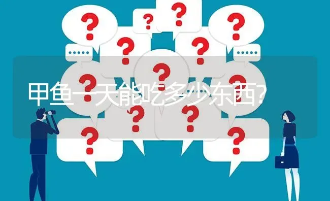 甲鱼一天能吃多少东西? | 养殖问题解答