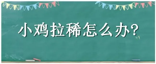 小鸡拉稀怎么办 | 农业常识