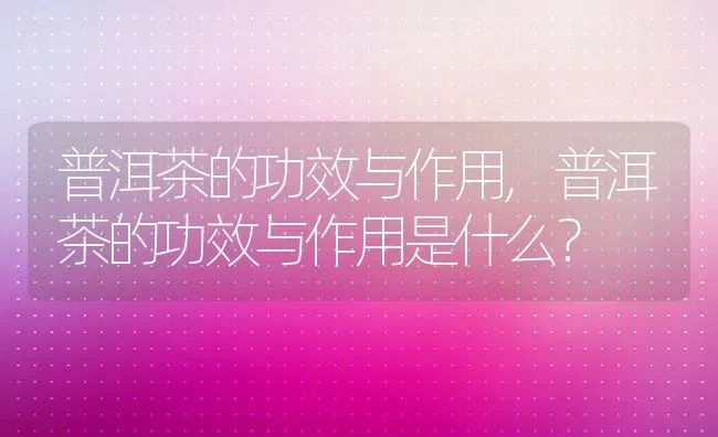 普洱茶的功效与作用,普洱茶的功效与作用是什么？ | 养殖常见问题
