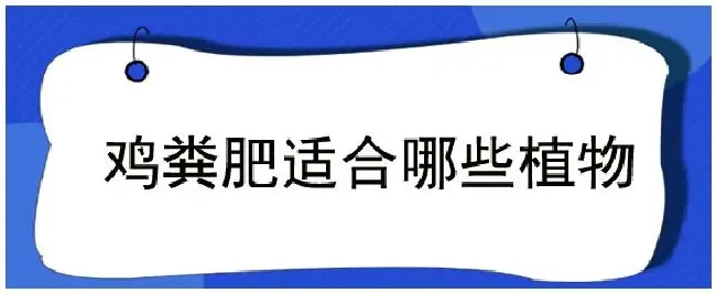 鸡粪肥适合哪些植物 | 生活常识