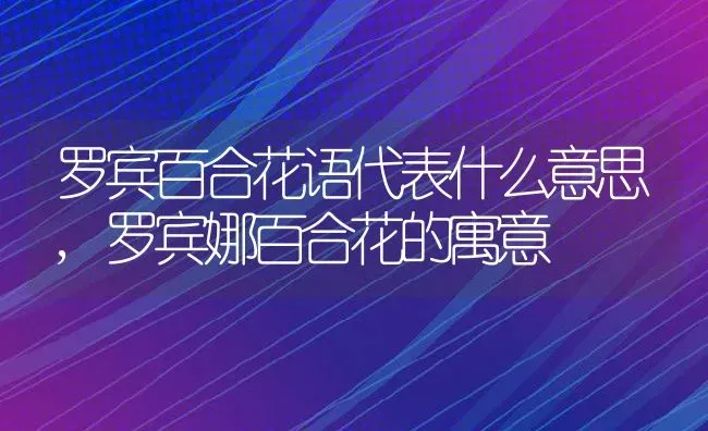 罗宾百合花语代表什么意思,罗宾娜百合花的寓意 | 养殖常见问题