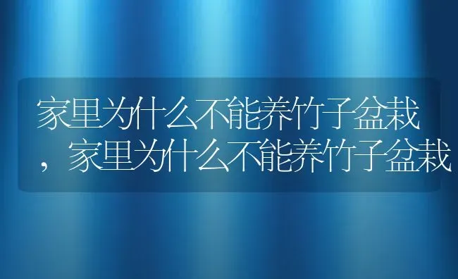 家里为什么不能养竹子盆栽,家里为什么不能养竹子盆栽 | 养殖常见问题