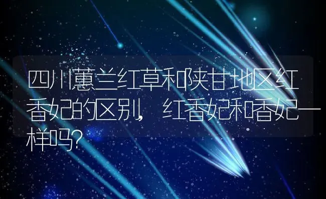 四川蕙兰红草和陕甘地区红香妃的区别,红香妃和香妃一样吗？ | 养殖常见问题