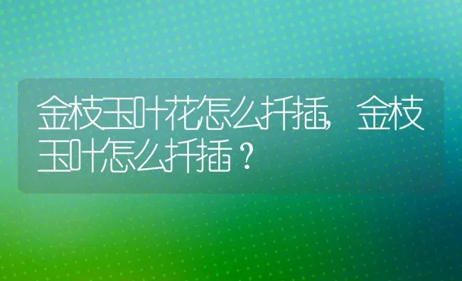 金枝玉叶花怎么扦插,金枝玉叶怎么扦插？ | 养殖常见问题