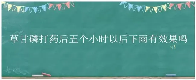 草甘磷打药后五个小时以后下雨有效果吗 | 科普知识