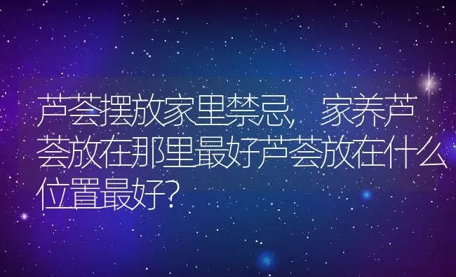 芦荟摆放家里禁忌,家养芦荟放在那里最好芦荟放在什么位置最好？ | 养殖常见问题