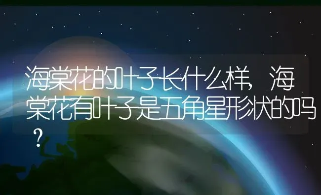 海棠花的叶子长什么样,海棠花有叶子是五角星形状的吗？ | 养殖常见问题