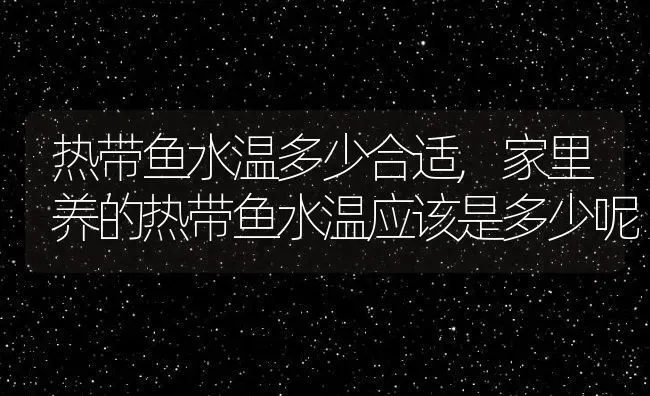 热带鱼水温多少合适,家里养的热带鱼水温应该是多少呢 | 养殖常见问题