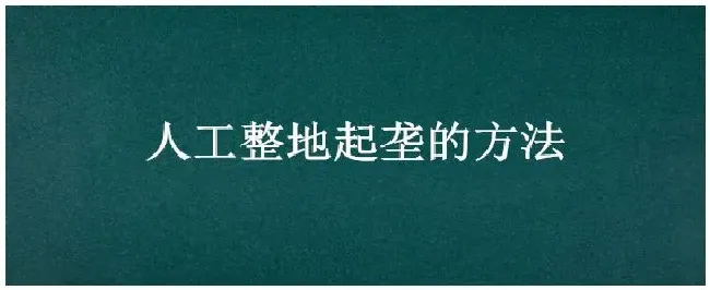 人工整地起垄的方法 | 三农答疑