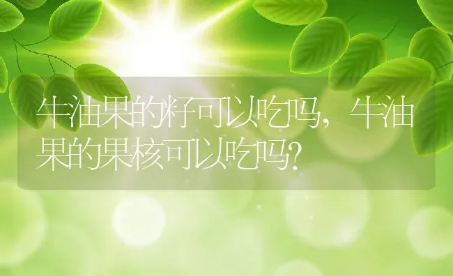 牛油果的籽可以吃吗,牛油果的果核可以吃吗？ | 养殖常见问题