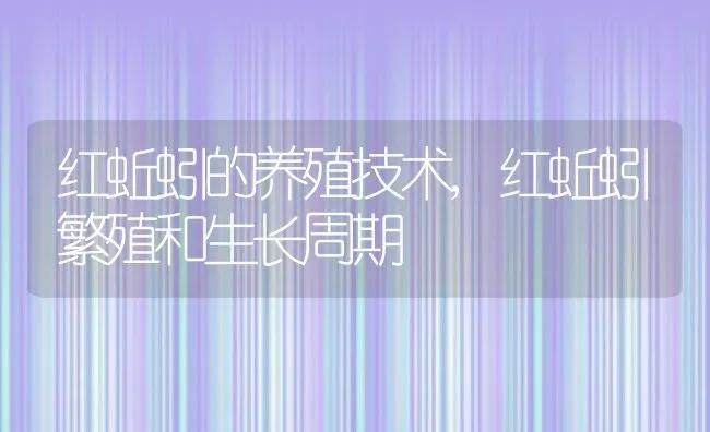 红蚯蚓的养殖技术,红蚯蚓繁殖和生长周期 | 养殖常见问题