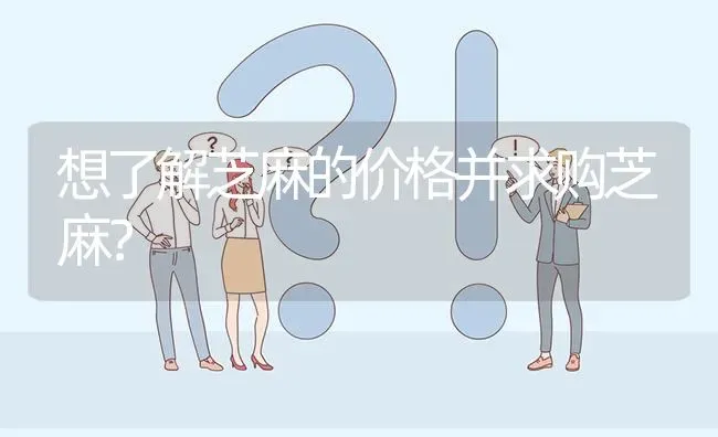 想了解芝麻的价格并求购芝麻? | 养殖问题解答