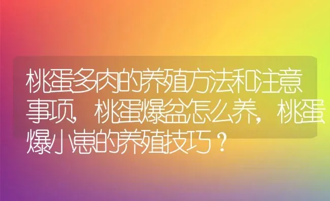 桃蛋多肉的养殖方法和注意事项,桃蛋爆盆怎么养，桃蛋爆小崽的养殖技巧？ | 养殖常见问题