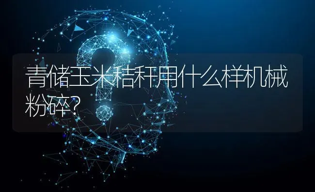 青储玉米秸秆用什么样机械粉碎? | 养殖问题解答