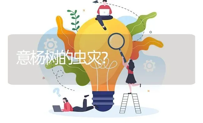 意杨树的虫灾? | 养殖问题解答