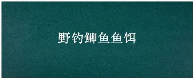 野钓鲫鱼鱼饵 | 生活常识