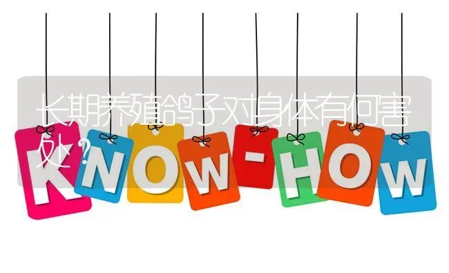 长期养殖鸽子对身体有何害处? | 养殖问题解答