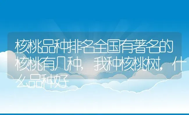 核桃品种排名全国有著名的核桃有几种,我种核桃树，什么品种好 | 养殖常见问题