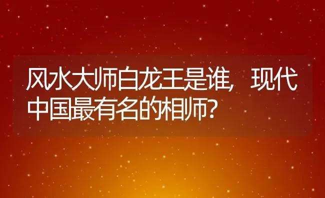 风水大师白龙王是谁,现代中国最有名的相师？ | 养殖常见问题
