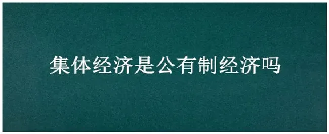 集体经济是公有制经济吗 | 三农答疑