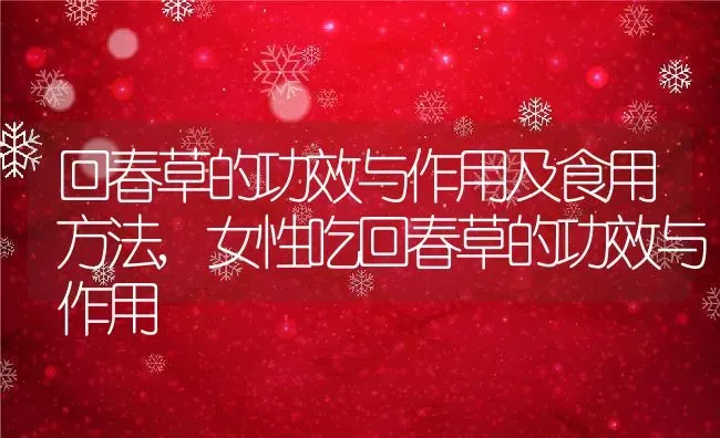 回春草的功效与作用及食用方法,女性吃回春草的功效与作用 | 养殖常见问题