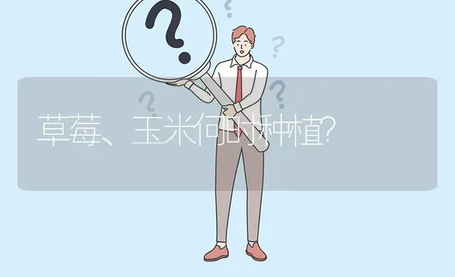 草莓、玉米何时种植? | 养殖问题解答